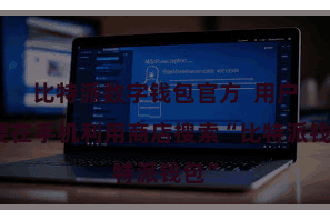 比特派数字钱包官方 用户需要在手机利用商店搜索“比特派钱包”