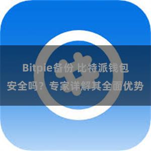 Bitpie备份 比特派钱包安全吗？专家详解其全面优势