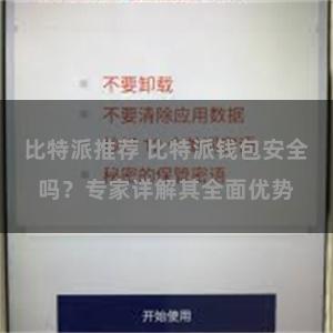 比特派推荐 比特派钱包安全吗？专家详解其全面优势