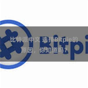 比特派中文 选择Bitpie的原因，你知道吗？