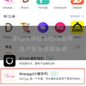 Bitpie体验 Bitpie数字资产安全保障指南