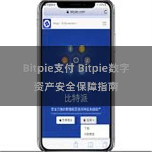 Bitpie支付 Bitpie数字资产安全保障指南