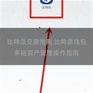 比特派交易指南 比特派钱包多链资产管理操作指南