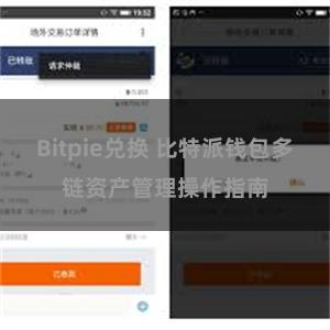 Bitpie兑换 比特派钱包多链资产管理操作指南