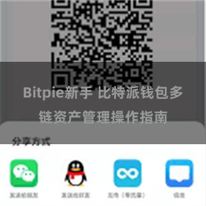 Bitpie新手 比特派钱包多链资产管理操作指南