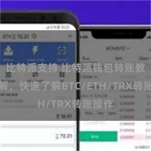 比特派支持 比特派钱包转账教程详解，快速了解BTC/ETH/TRX转账操作