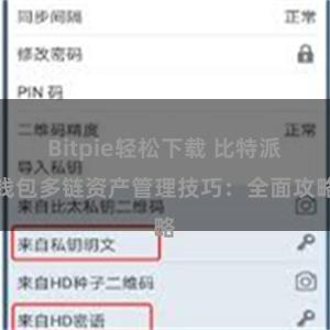 Bitpie轻松下载 比特派钱包多链资产管理技巧：全面攻略