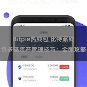 Bitpie热钱包 比特派钱包多链资产管理技巧：全面攻略