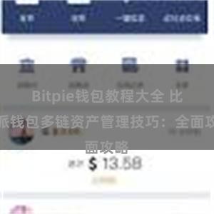 Bitpie钱包教程大全 比特派钱包多链资产管理技巧：全面攻略