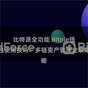 比特派全功能 Bitpie钱包使用技巧：多链资产管理全攻略