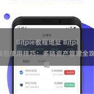 Bitpie教程地址 Bitpie钱包使用技巧：多链资产管理全攻略