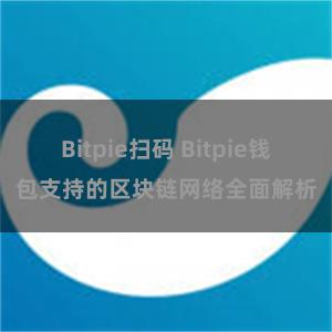 Bitpie扫码 Bitpie钱包支持的区块链网络全面解析