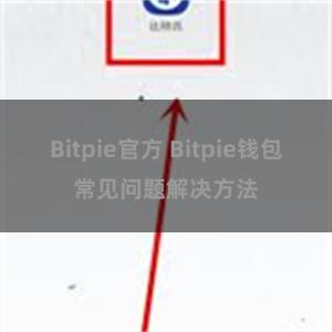 Bitpie官方 Bitpie钱包常见问题解决方法