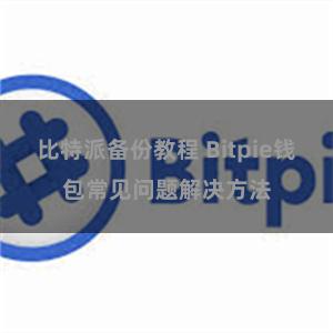 比特派备份教程 Bitpie钱包常见问题解决方法