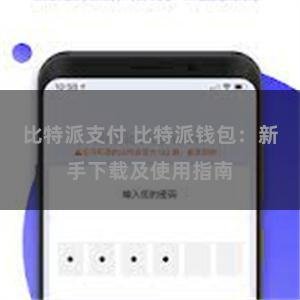 比特派支付 比特派钱包：新手下载及使用指南