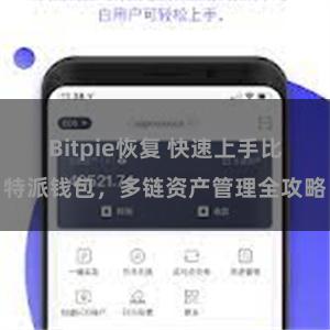 Bitpie恢复 快速上手比特派钱包，多链资产管理全攻略