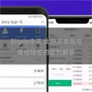 Bitpie中文 比特派钱包与其他钱包的区别解析