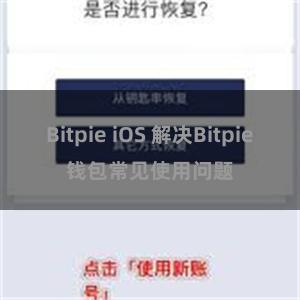 Bitpie iOS 解决Bitpie钱包常见使用问题