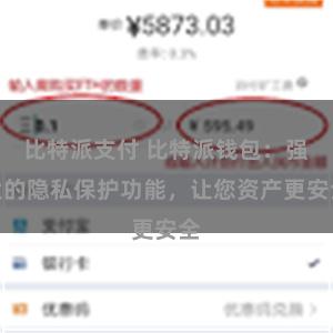 比特派支付 比特派钱包：强大的隐私保护功能，让您资产更安全