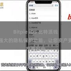 Bitpie iOS 比特派钱包：强大的隐私保护功能，让您资产更安全