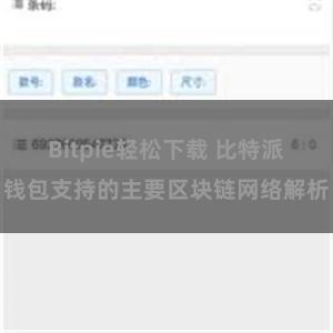 Bitpie轻松下载 比特派钱包支持的主要区块链网络解析