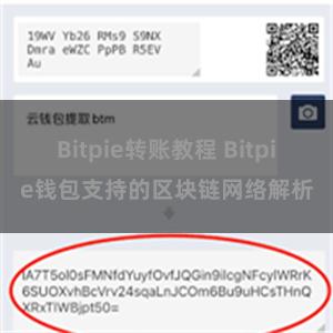 Bitpie转账教程 Bitpie钱包支持的区块链网络解析