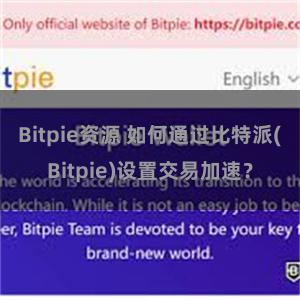 Bitpie资源 如何通过比特派(Bitpie)设置交易加速？