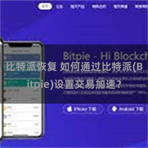 比特派恢复 如何通过比特派(Bitpie)设置交易加速？