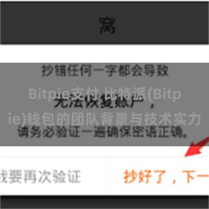 Bitpie支付 比特派(Bitpie)钱包的团队背景与技术实力