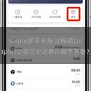 Bitpie多币支持 比特派(Bitpie)交易历史记录在哪里查看？