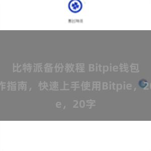比特派备份教程 Bitpie钱包操作指南，快速上手使用Bitpie，20字