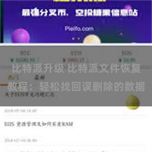比特派升级 比特派文件恢复教程：轻松找回误删除的数据