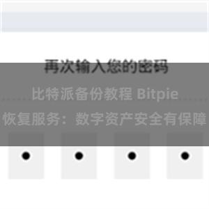 比特派备份教程 Bitpie恢复服务：数字资产安全有保障