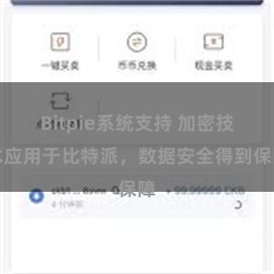 Bitpie系统支持 加密技术应用于比特派，数据安全得到保障
