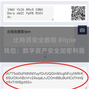 比特派安全教程 Bitpie钱包：数字资产安全加密利器