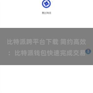 比特派跨平台下载 简约高效：比特派钱包快速完成交易